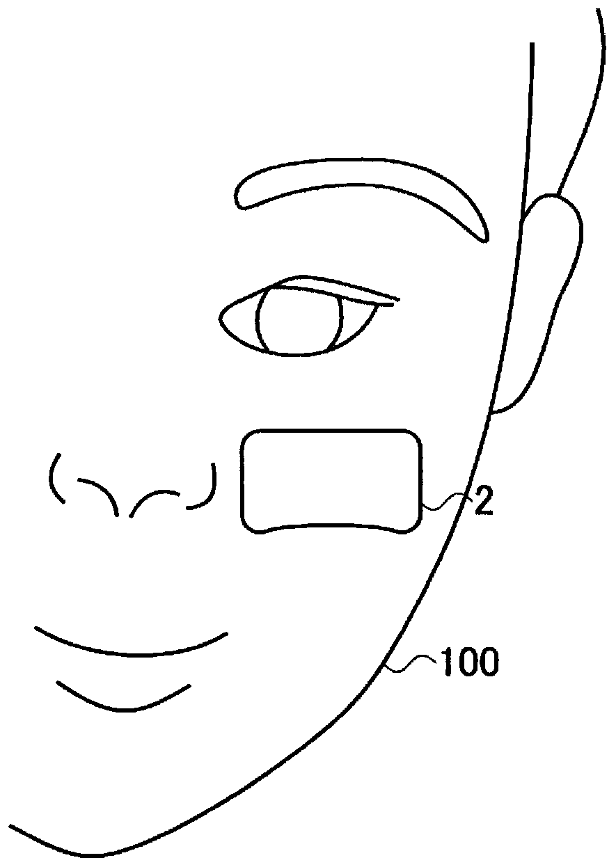 Biotissue transdermal patch