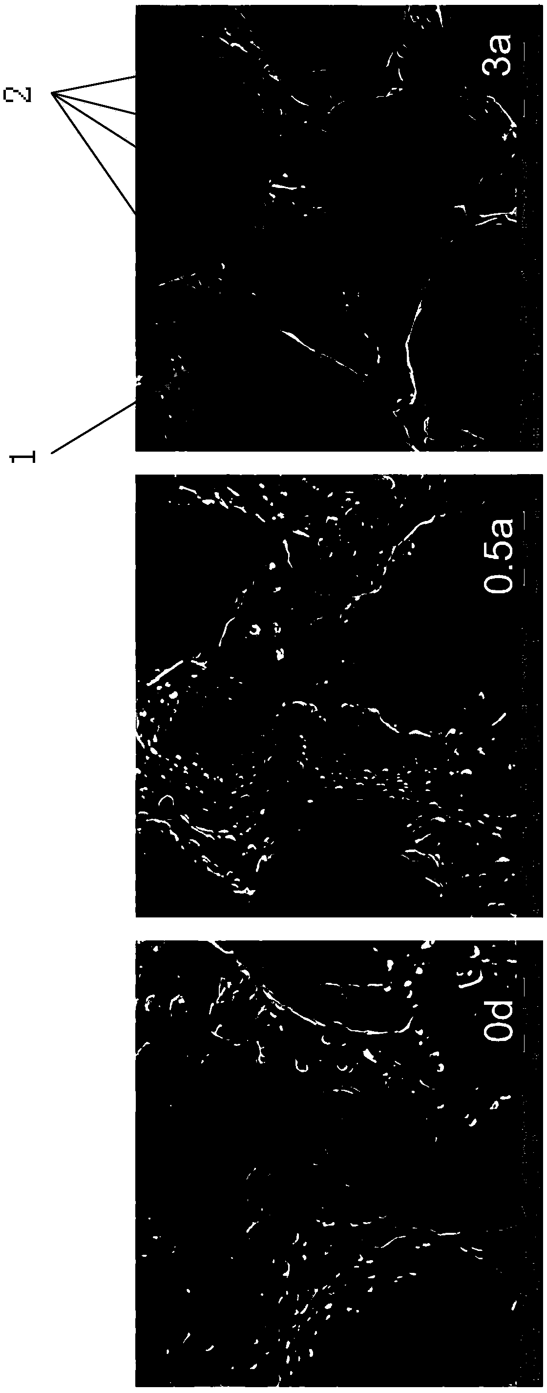 Method for evaluating consistency of aging mechanism of composite solid propellant