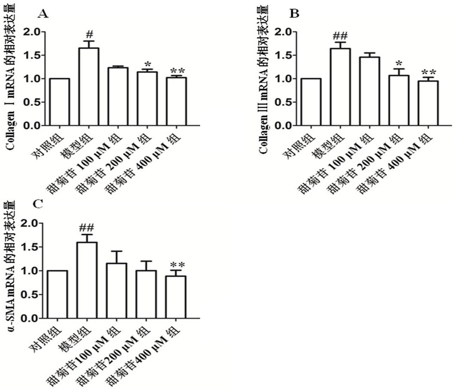 Application of stevioside in preparation of health food and medicine for preventing or treating myocardial fibrosis