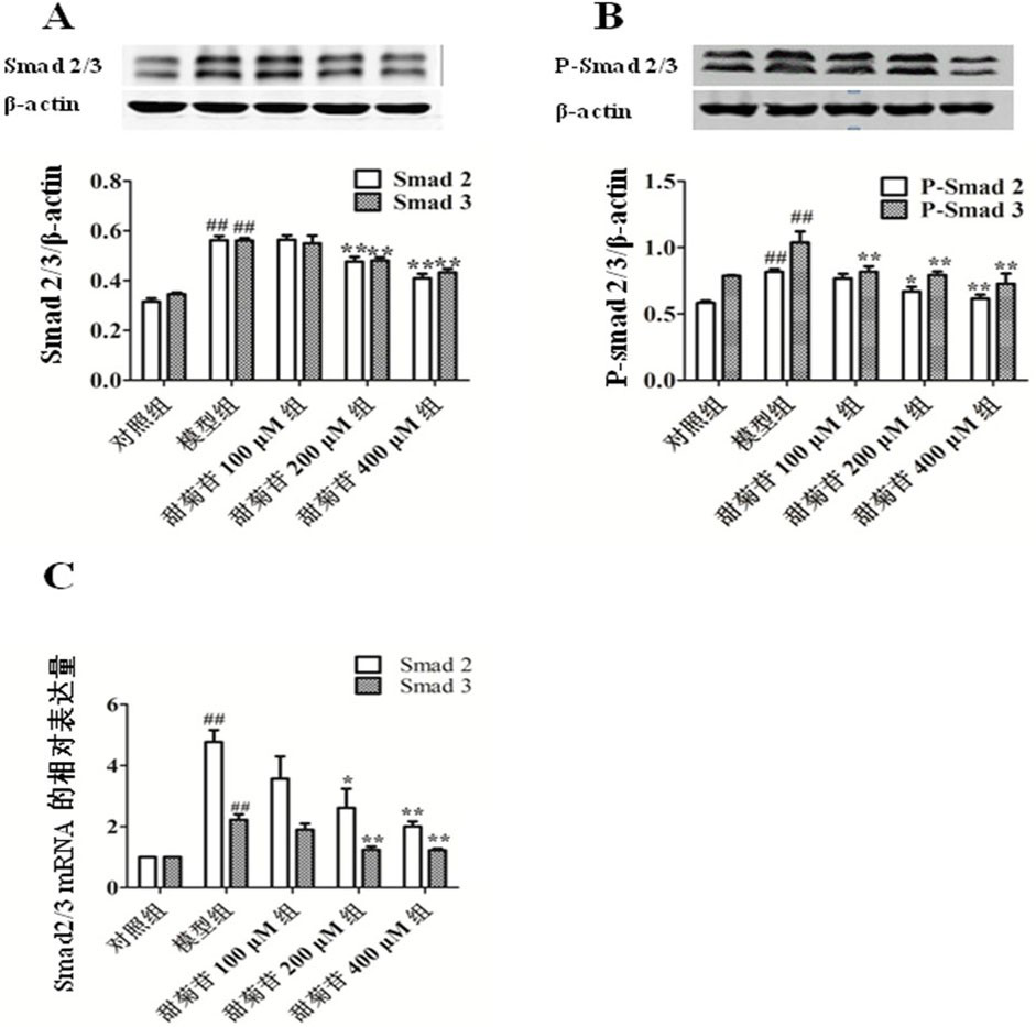 Application of stevioside in preparation of health food and medicine for preventing or treating myocardial fibrosis