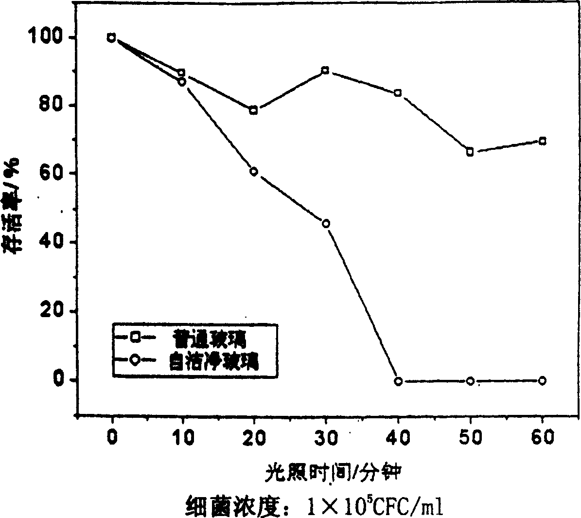 Testing method for titanium dioxide thin-membrane self-cleaning glass antibacterial activity