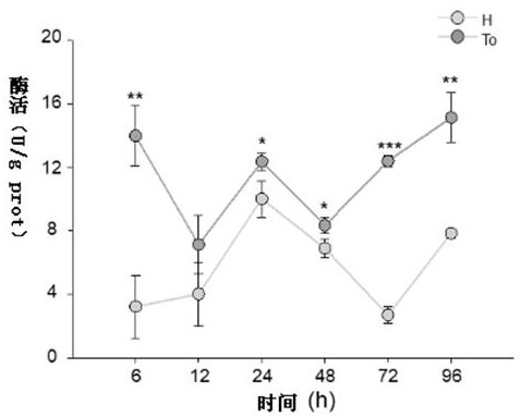 Bemisia tabaci lethal gene and application thereof, RNA interference agent and preparation method and application of interference agent