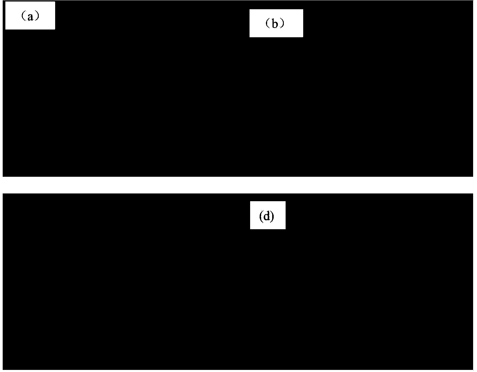 Method for preparing polyaniline surface modified conductive polyester chips