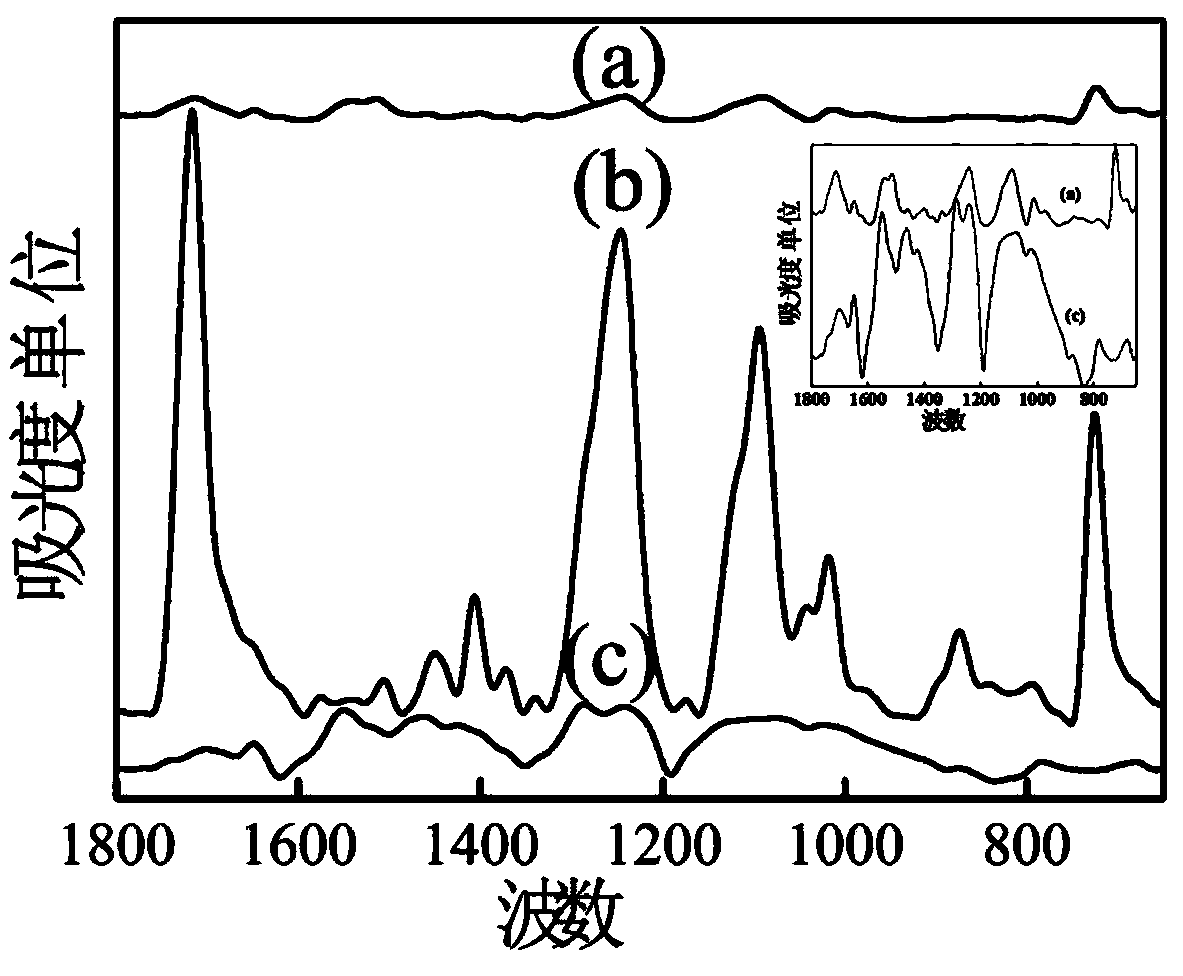 Method for preparing polyaniline surface modified conductive polyester chips