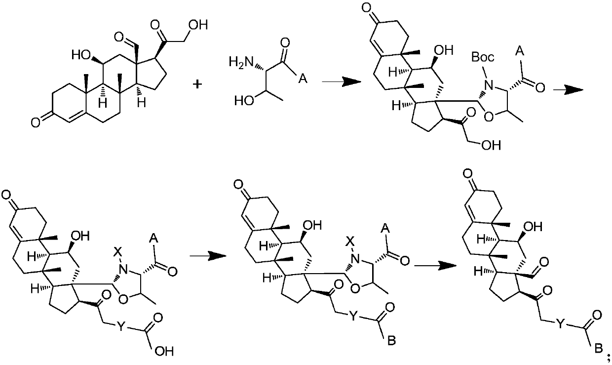 Aldosterone derivative and preparation method thereof