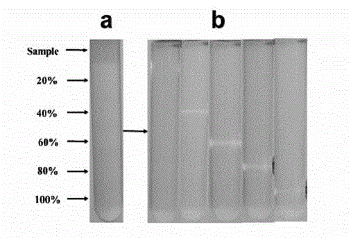 Method for synthesizing monodisperse stable LDHs (layered double hydroxides) colloid nanocrystalline