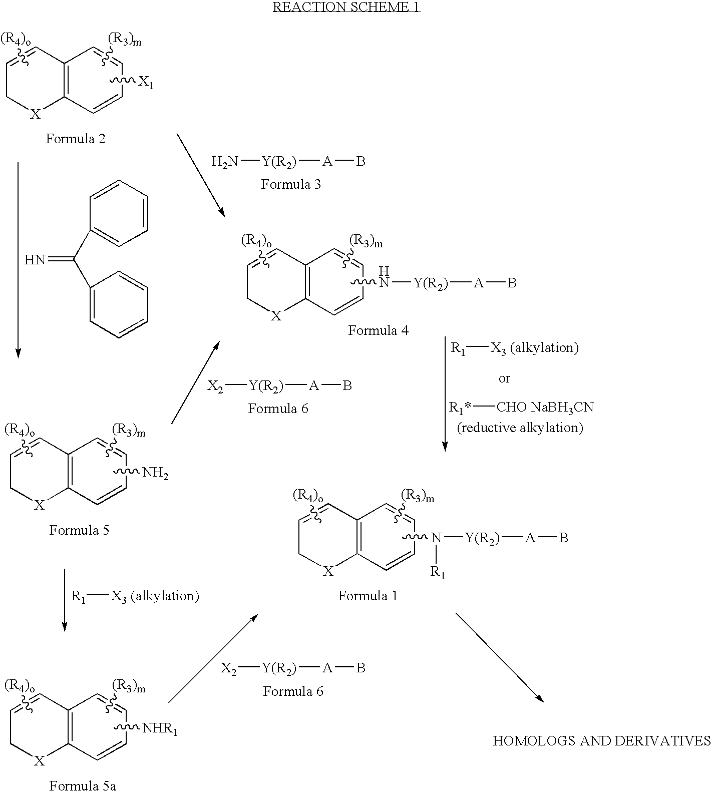 Amines substituted with a dihydronaphthalenyl, chromenyl, or thiochromenyl group, a pyridyl group and an alkyl group, having retinoid-like biological activity