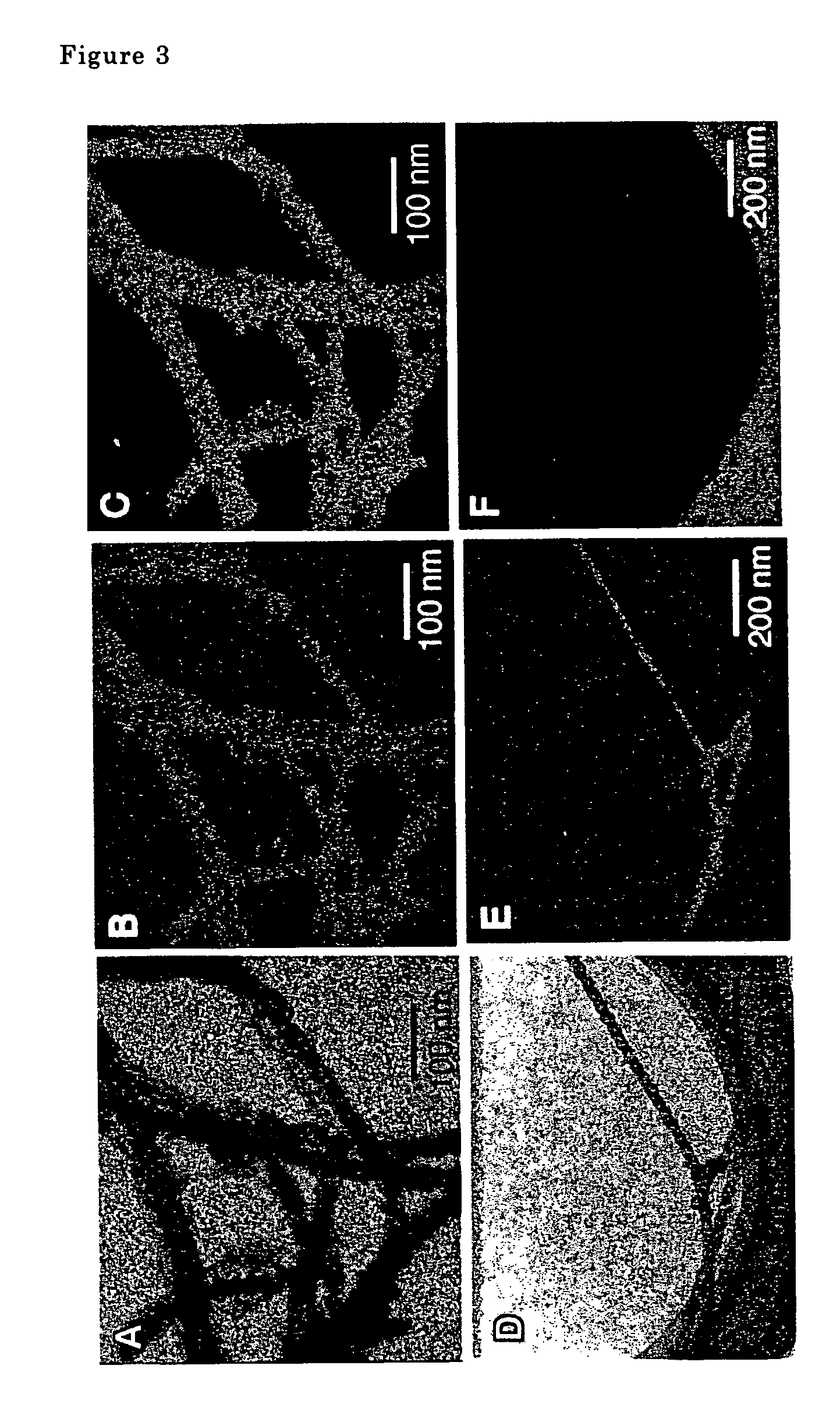 Metal oxide nanotube and process for production thereof