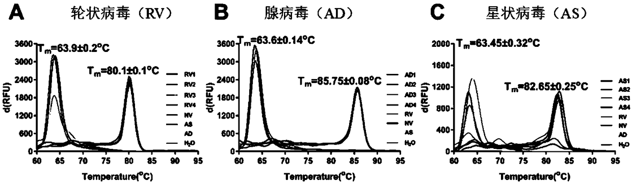 Isothermal nucleic acid amplification system with high specificity as well as application thereof