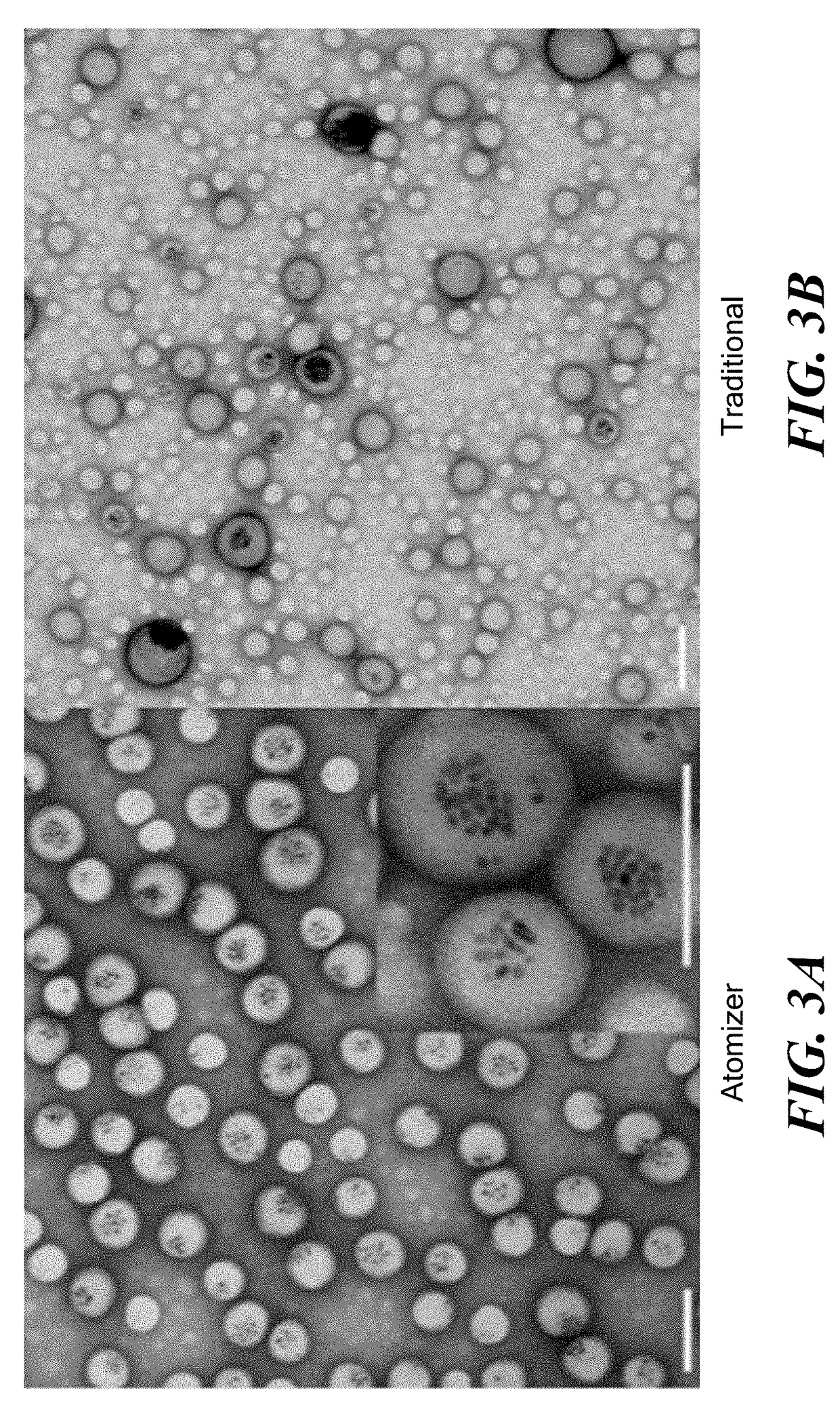 Nanoparticle- and Drug-Containing Polymersomes for Medical Applications