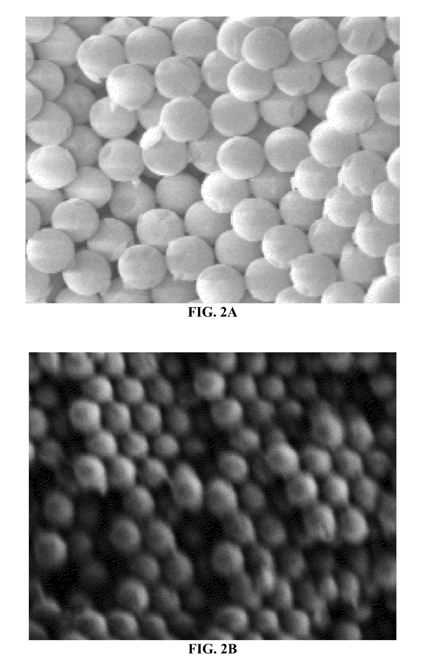 Systems and Methods for Targeted and Controlled Delivery of Agents