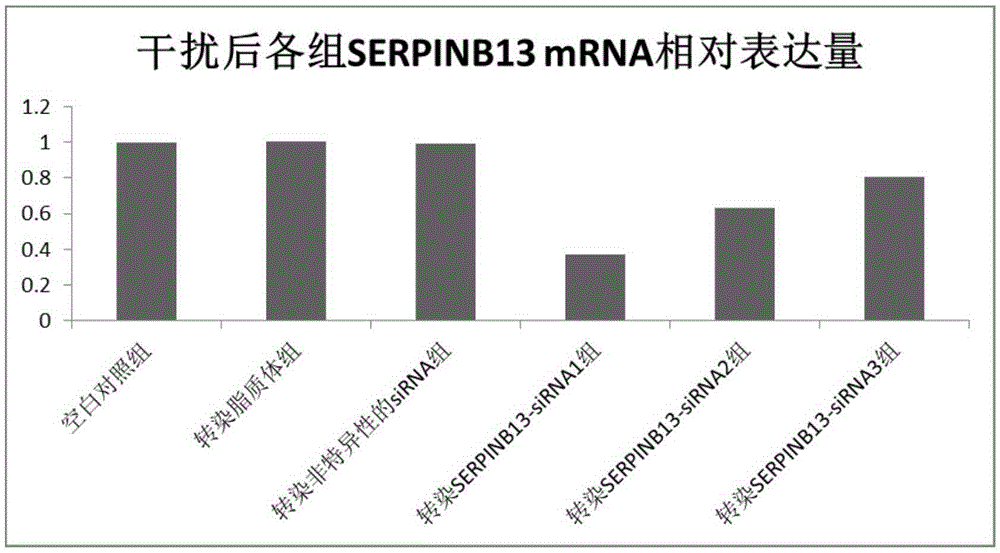 Acute myocardial infarction related gene SERPINB13 and application thereof