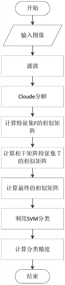 Polarized SAR image classification method based on wishart and svm