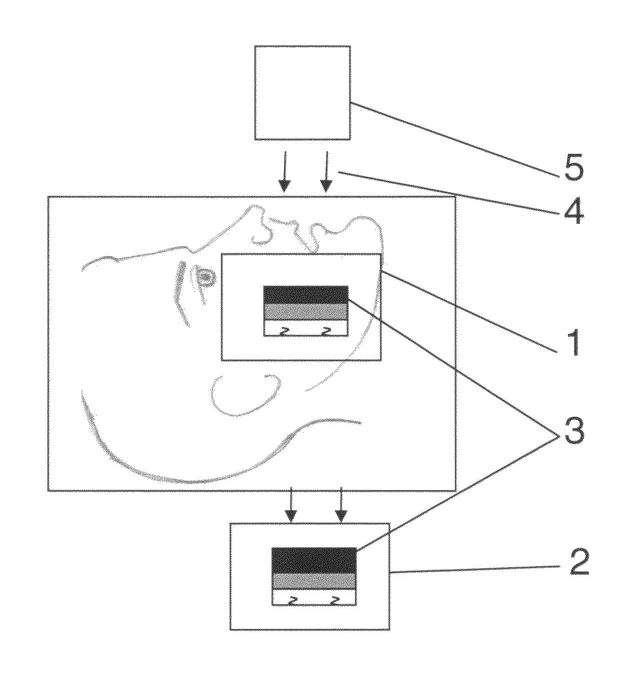 Dental fluoroscopic imaging system