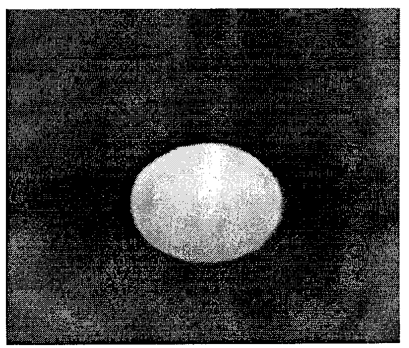 Curcumin glutin microsphere and preparation thereof