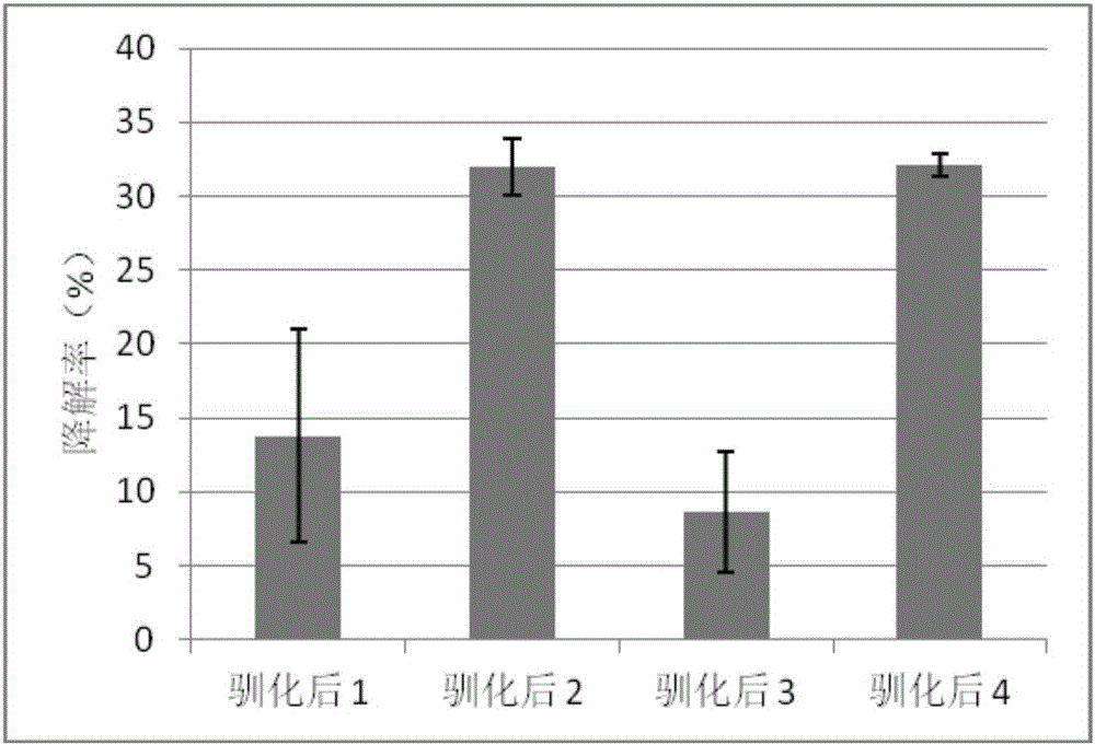 Gentamicin degradation strain and application thereof