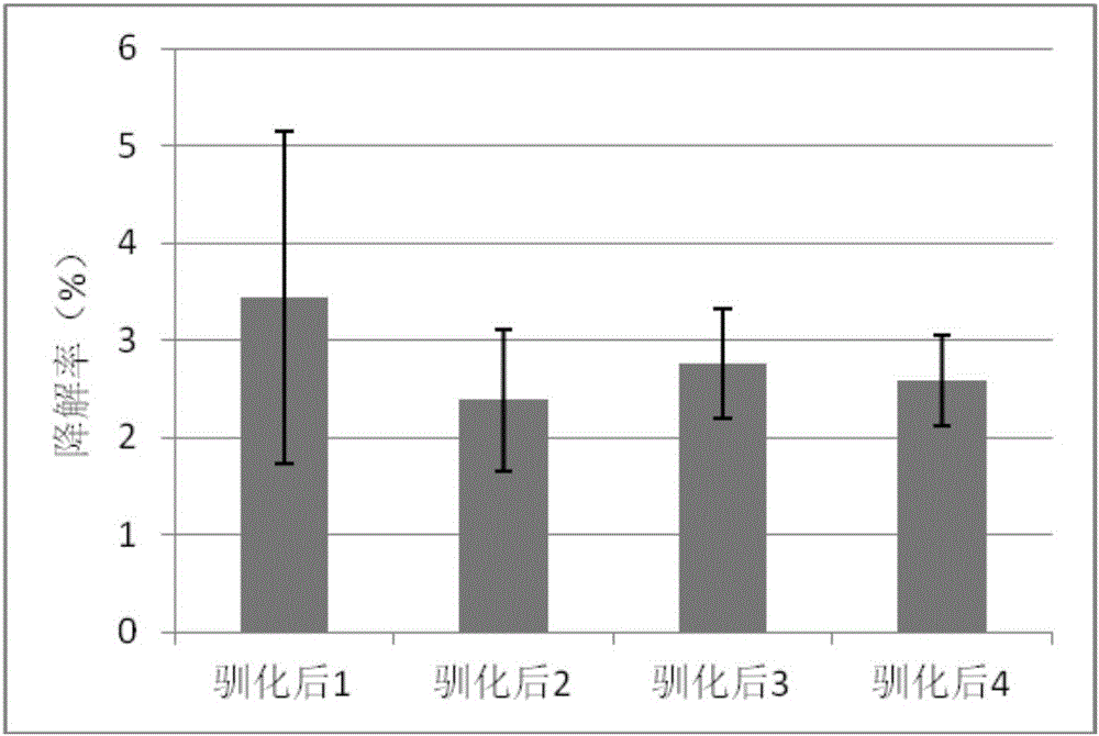 Gentamicin degradation strain and application thereof