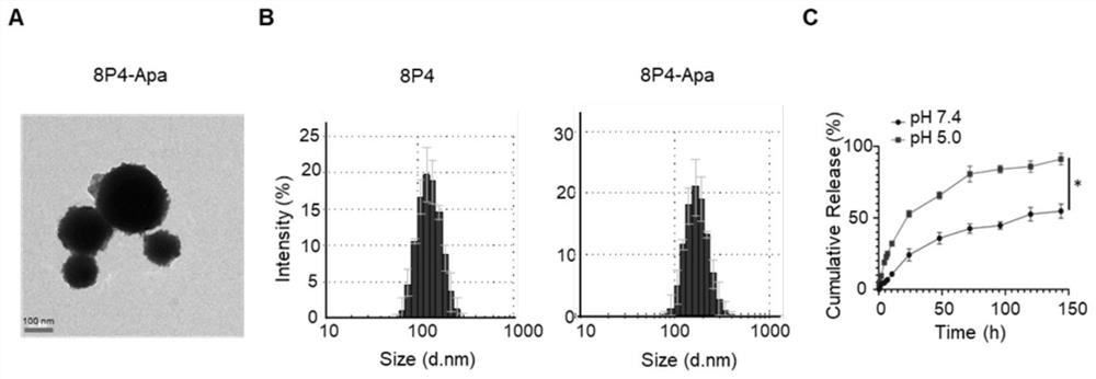 Novel polyester compound, nano-drug taking novel polyester compound as carrier and application of nano-drug