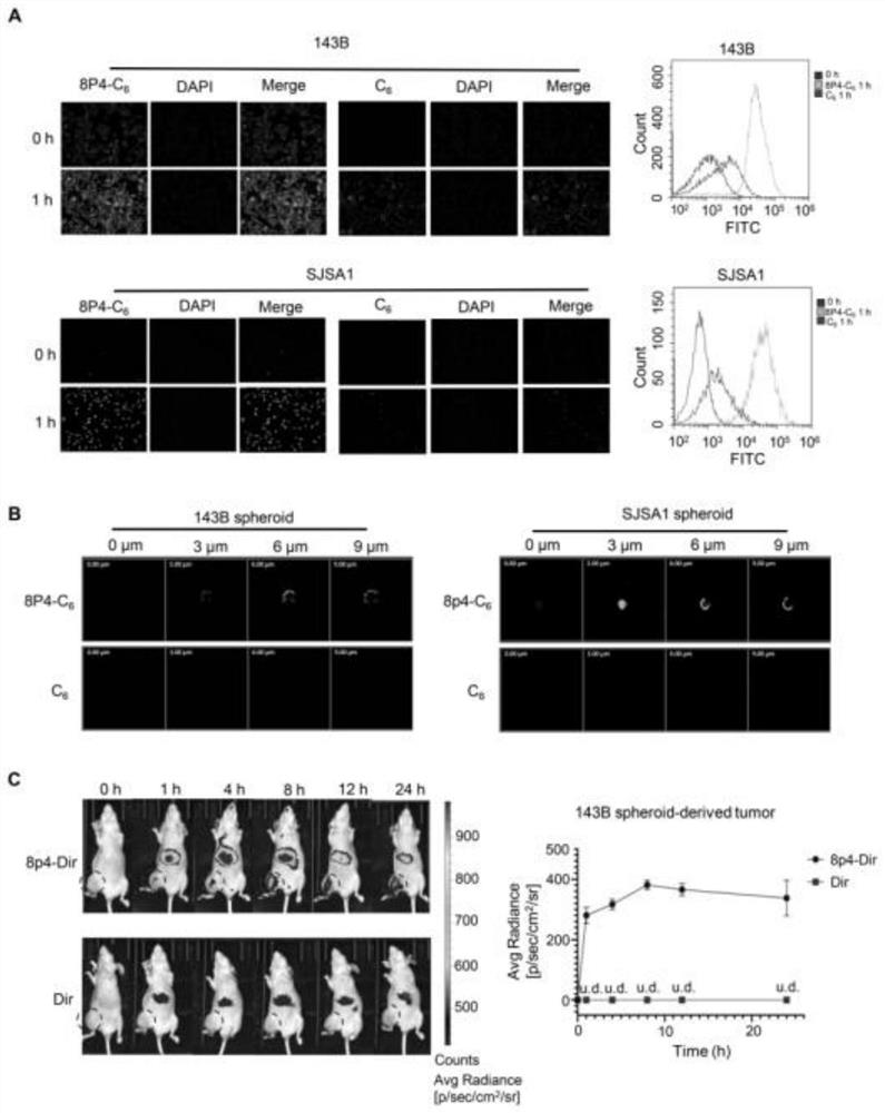 Novel polyester compound, nano-drug taking novel polyester compound as carrier and application of nano-drug