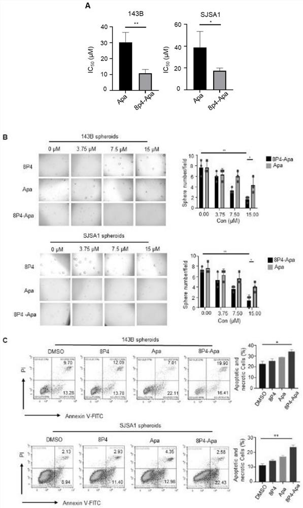 Novel polyester compound, nano-drug taking novel polyester compound as carrier and application of nano-drug