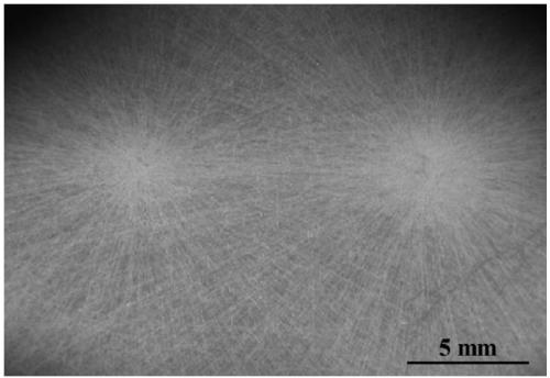 Continuous complementary dual-gradient nanofiber bionic stent, and preparation method and application thereof