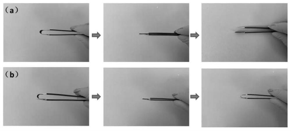 Preparation method of phenolic aldehyde-based super-hydrophilic carbon nanofiber net film