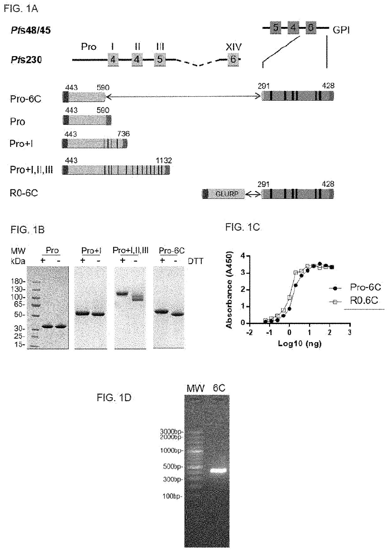 Multivalent Malaria Transmission-Blocking Vaccines