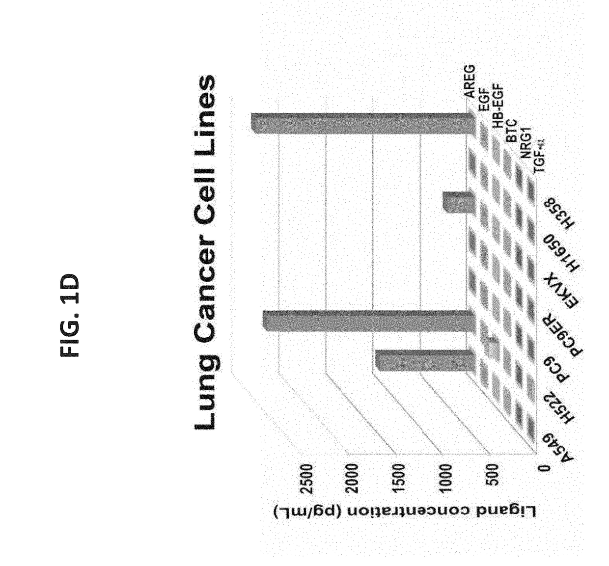 Anti amphiregulin antibodies, compositions comprising same and uses thereof