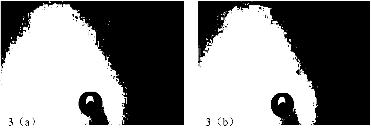 Particle and bubble collision detection method based on Otsu image segmentation