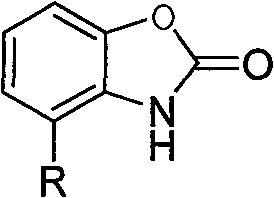 Benzoxazole ketones derivative and preparation method thereof