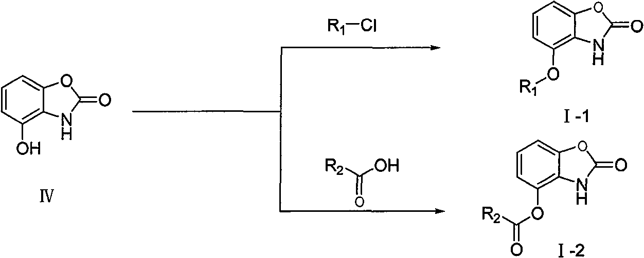 Benzoxazole ketones derivative and preparation method thereof