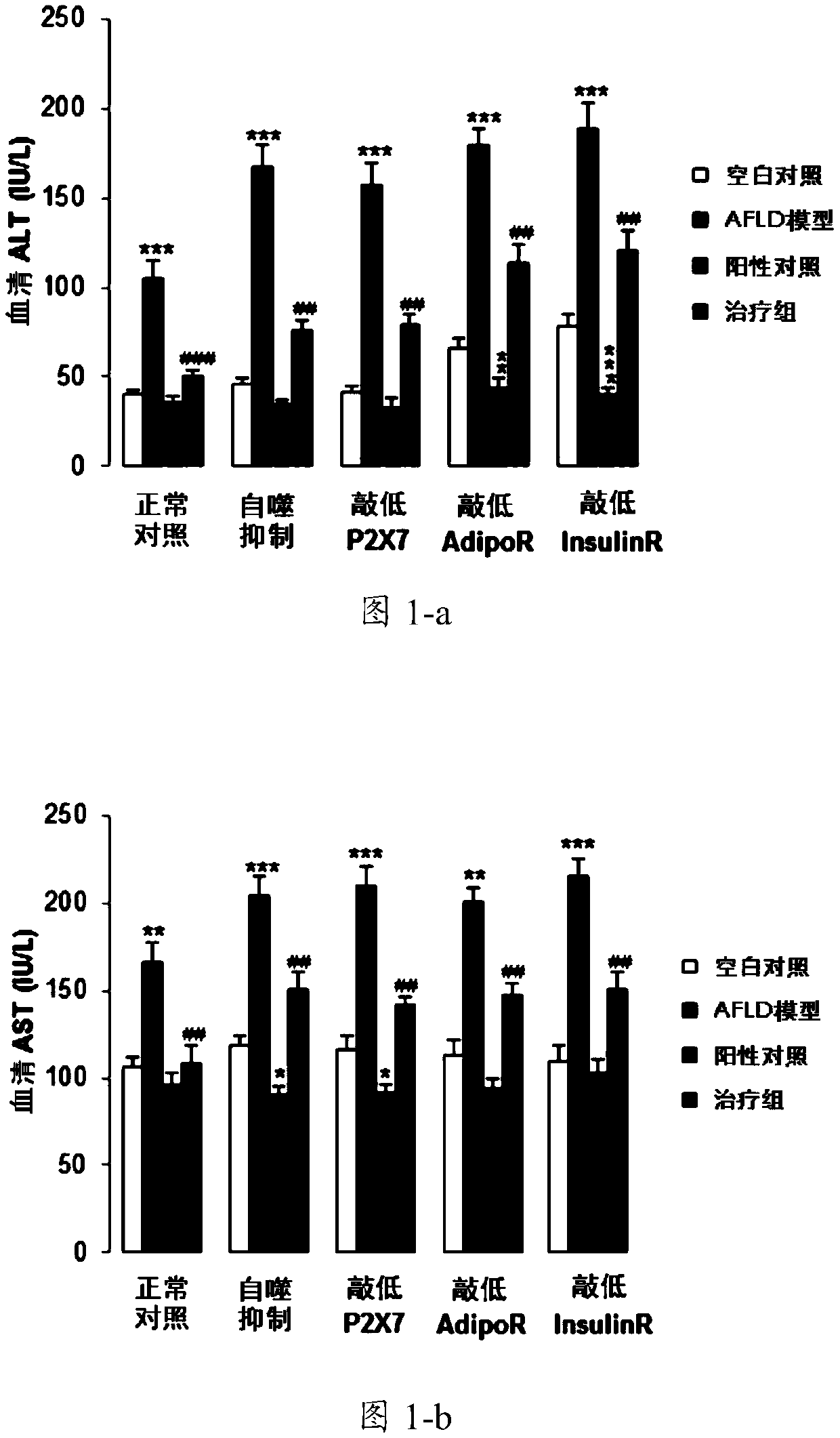 Mechanism of Lycium barbarum anti-alcoholic liver injury and application of hepatoprotective products