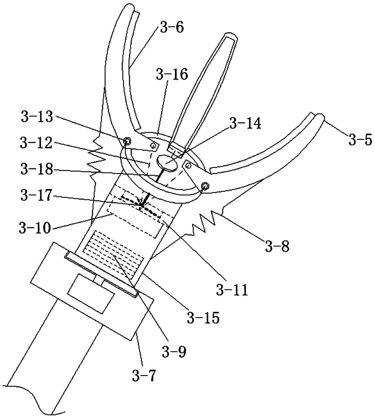 A fruit picking and sorting device