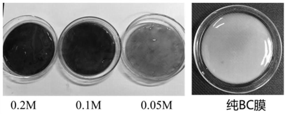 A copper/silver-based electrode based on a conductive bacterial cellulose composite film