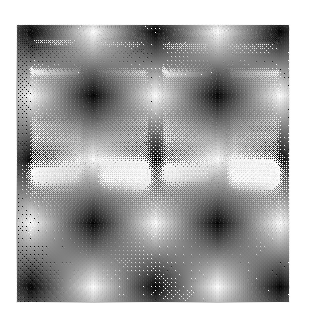 One-step multiplex reverse transcription-polymerase chain reaction (RT-PCR) method for detecting turnip mosaic virus and special primers for method