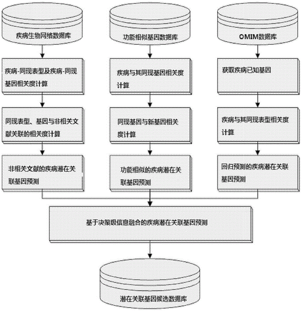 Acquisition method of potential disease-associated genes based on multi-source information fusion