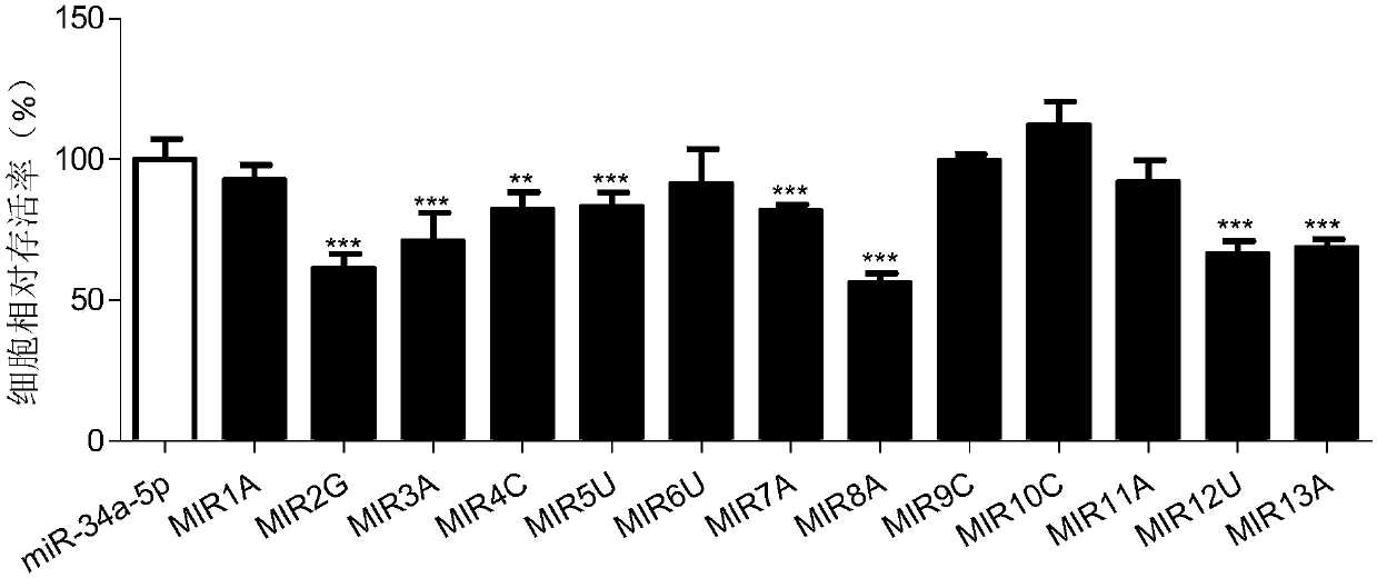 MicroRNA and application thereof in preparation of antitumor drugs