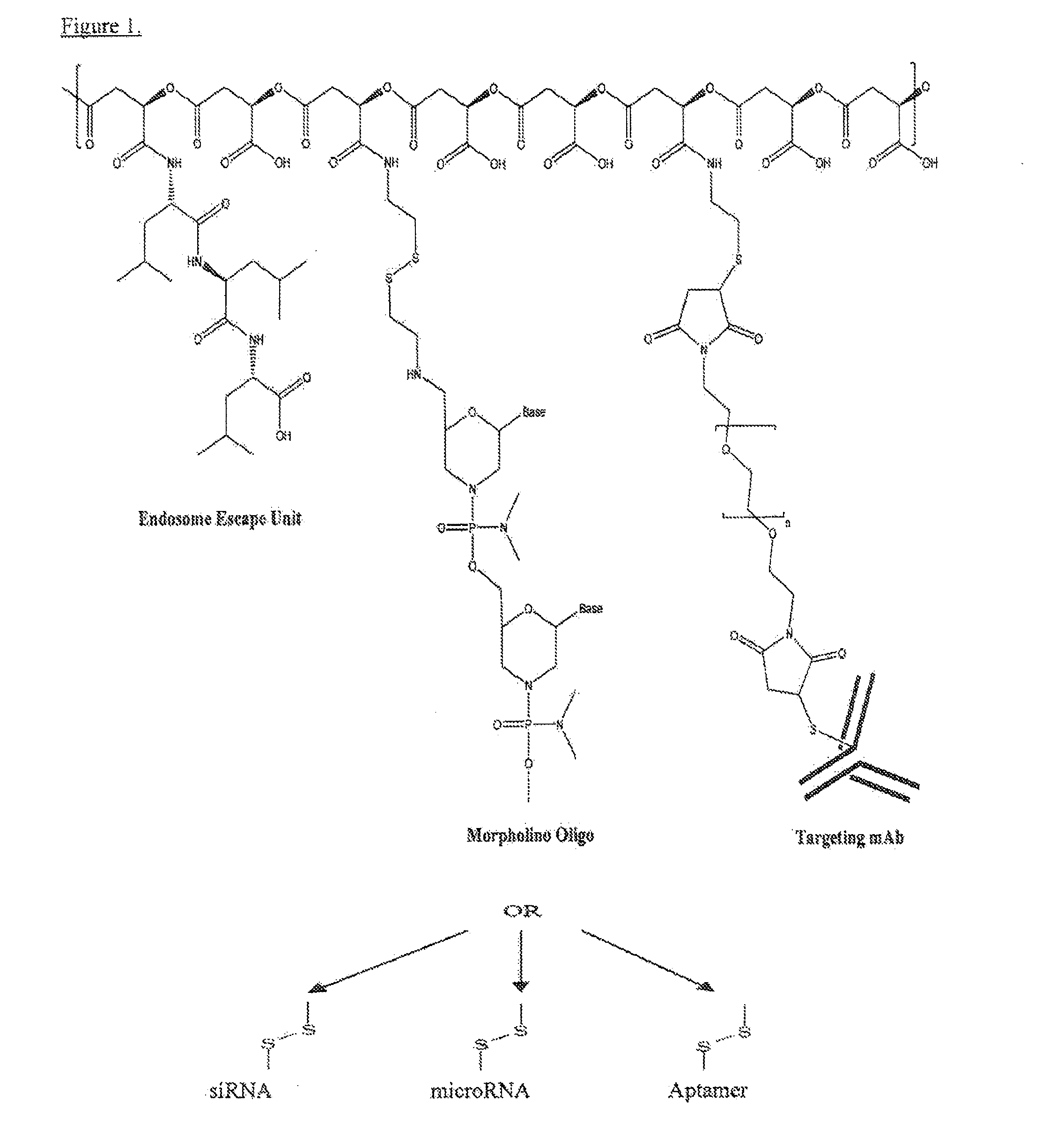 Poly(beta malic acid) with pendant leu-leu-leu tripeptide for effective cytoplasmic drug delivery