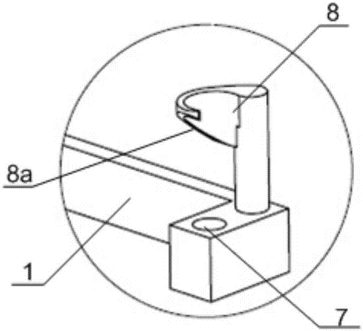 A device for immobilizing the head and neck of softshell turtles