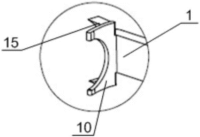 A device for immobilizing the head and neck of softshell turtles