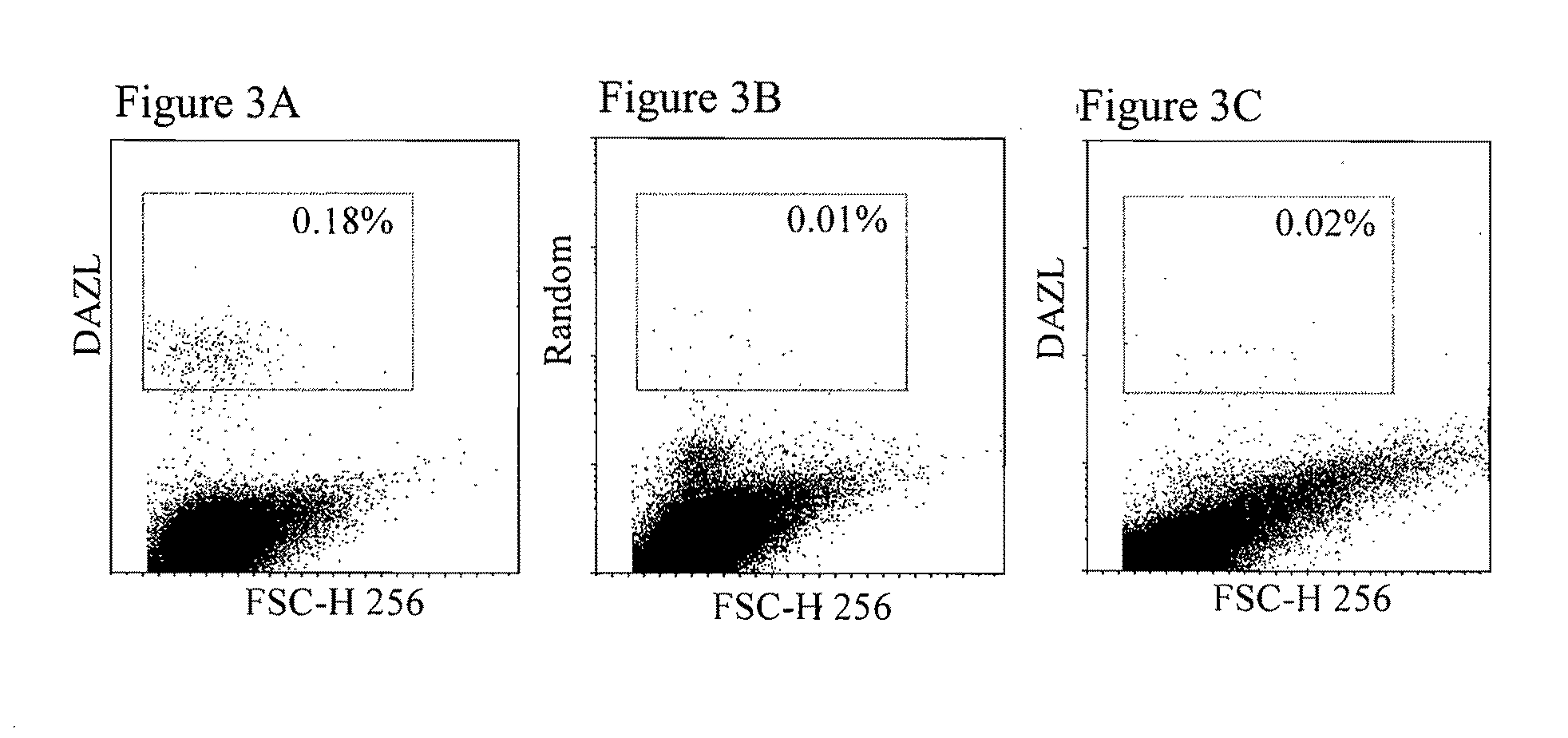 Stem cells characterized by expression of germline specific genes