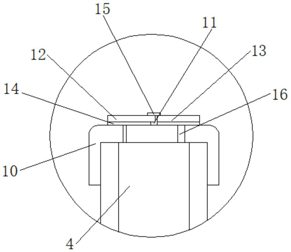 A kind of automatic watering flower pot for asparagus planting