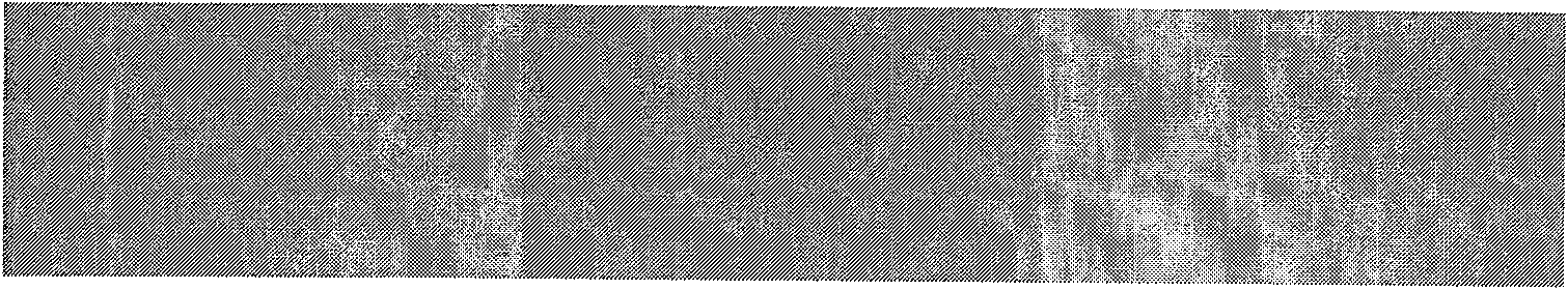 Relative radiation correction method for star-load TDICCD camera