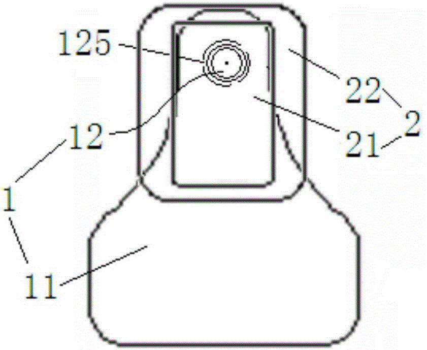 Animal ear tag for synchronously collecting DNA sample