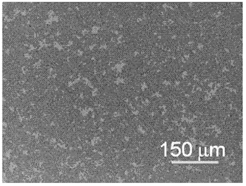 Method for synthesizing graphene film through chemical reaction