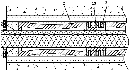 Anchor rod assembly for supporting coal mines