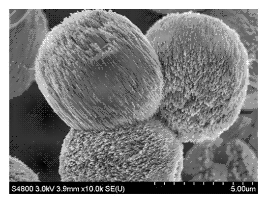 Method for preparing mordenite molecular sieve