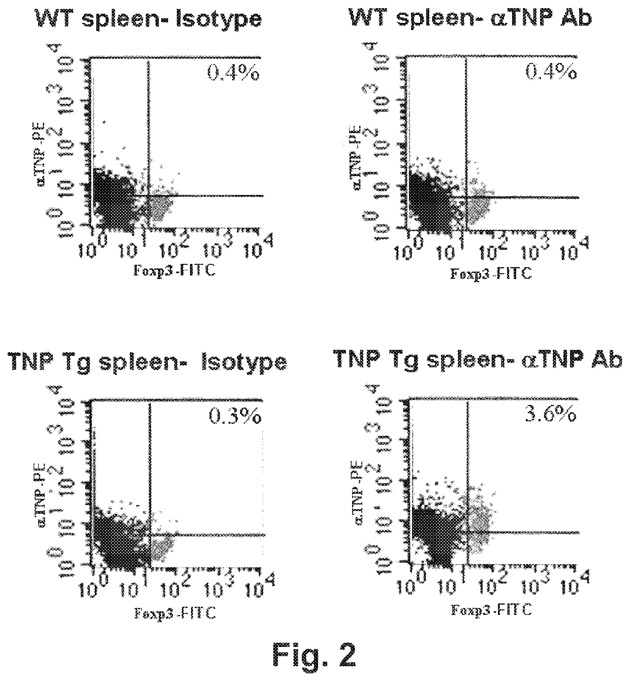 Redirected, genetically-engineered T regulatory cells and their use in suppression of autoimmune and inflammatory disease