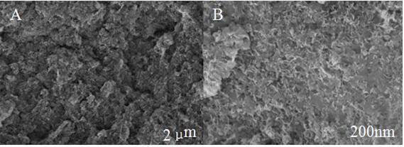 Preparation method and application of NiFe-LDH composite material