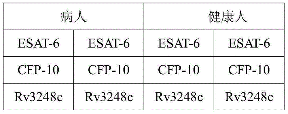 Mycobacterium tuberculosis Rv 3248 c recombinant protein, preparation method and application of mycobacterium tuberculosis Rv 3248 c recombinant protein